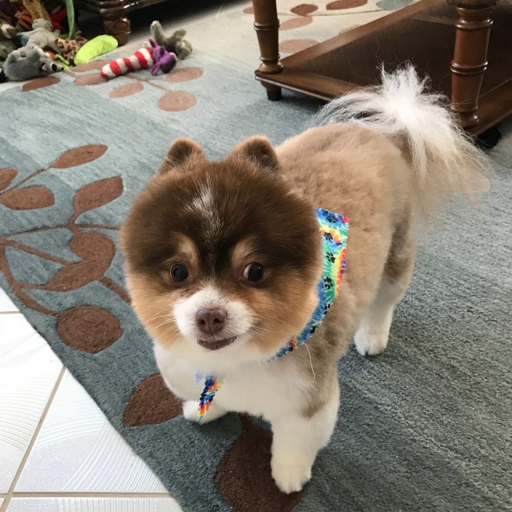 Meet your Posher, Jennifer